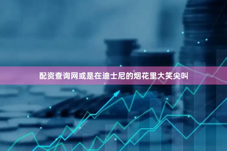 配资查询网或是在迪士尼的烟花里大笑尖叫