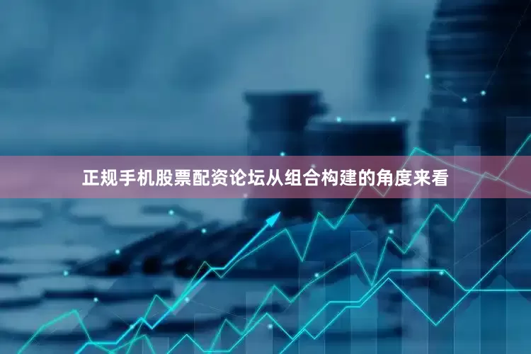 正规手机股票配资论坛从组合构建的角度来看