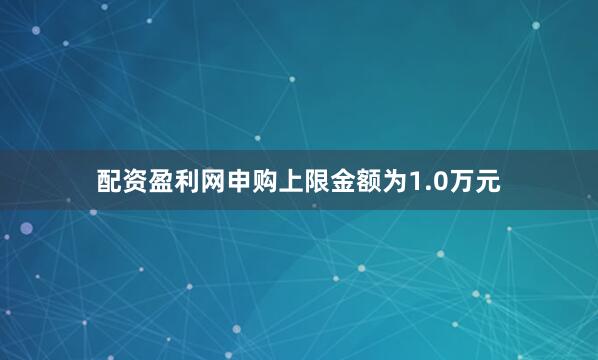 配资盈利网申购上限金额为1.0万元