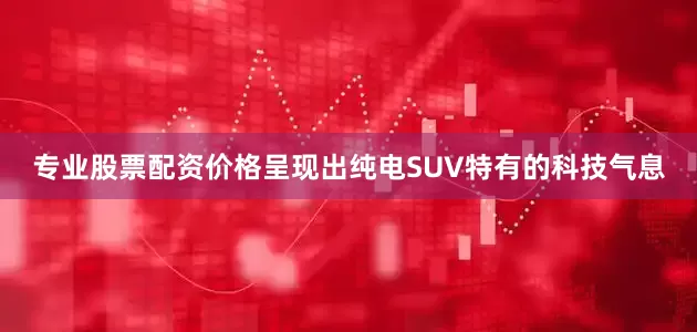 专业股票配资价格呈现出纯电SUV特有的科技气息